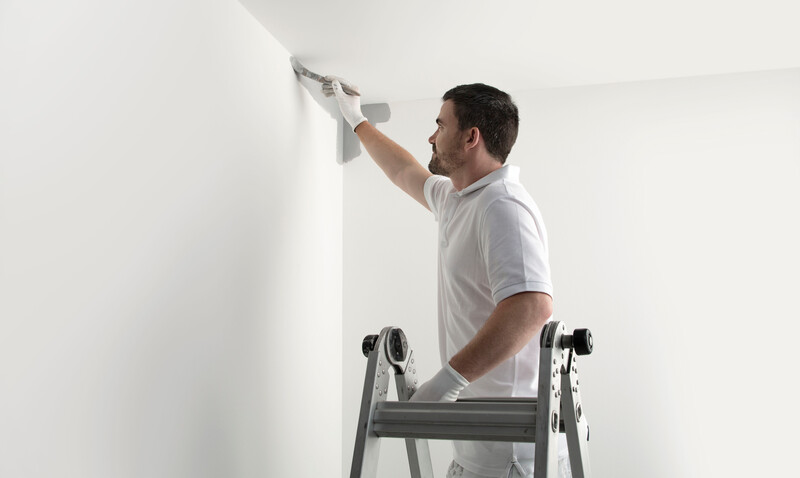 Painting Over Mould Damp Dulux Decorator Centre