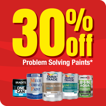 30% off Problem Solving Paints*