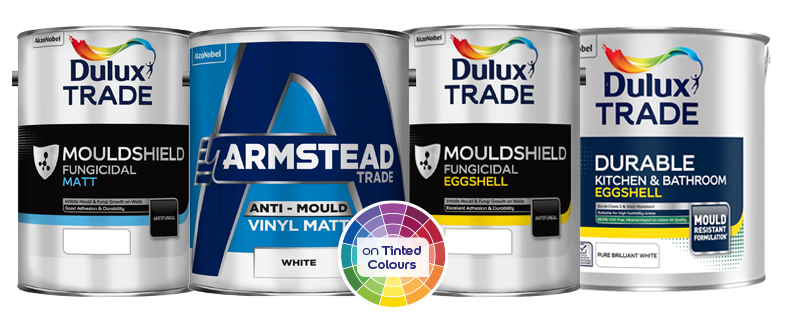 Anti-mould paint products