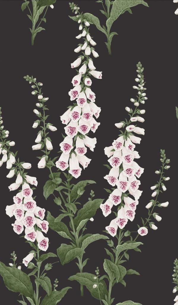 Graham & Brown Foxglove Wallpaper