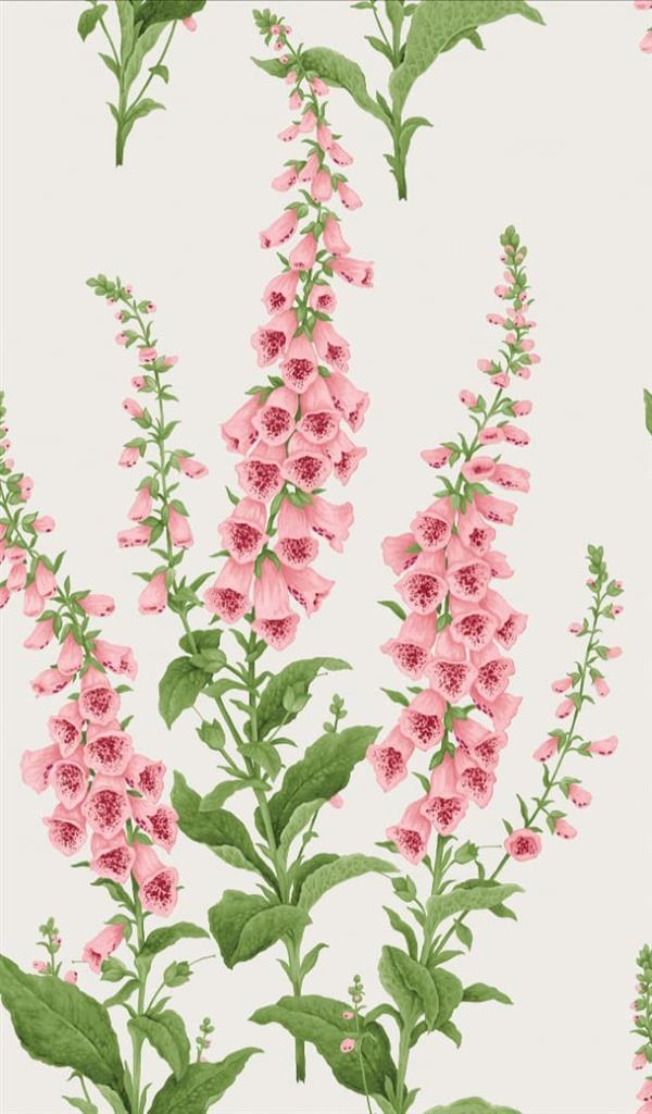 Graham & Brown Foxglove Wallpaper