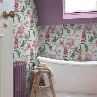 Graham & Brown Botanists Scroll Wallpaper