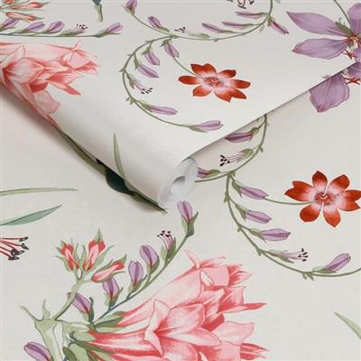 Graham & Brown Botanists Scroll Wallpaper