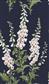 Graham & Brown Foxglove Wallpaper